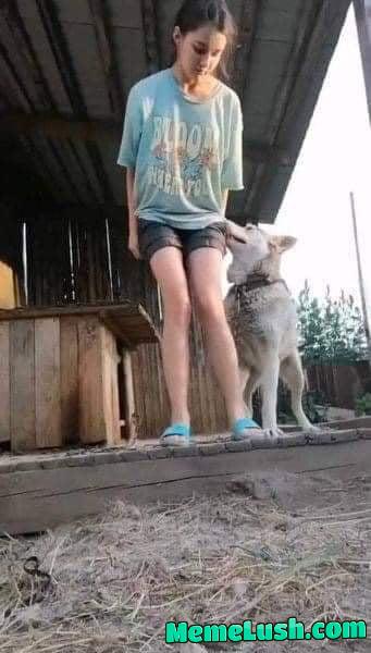 Do you guys have sauce for this? Plsss