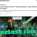 Crypto bros, MAGA needs you,