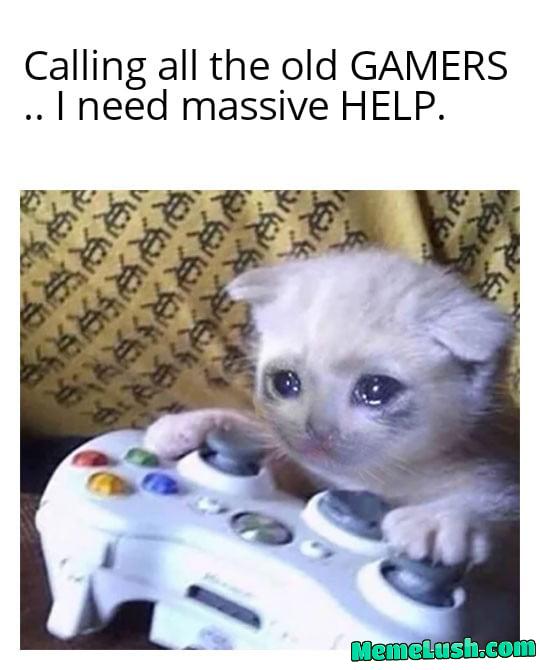Desperate flair of help