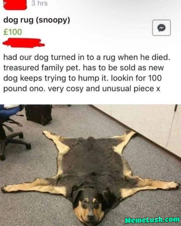 Rug anyone? Rug anyone?