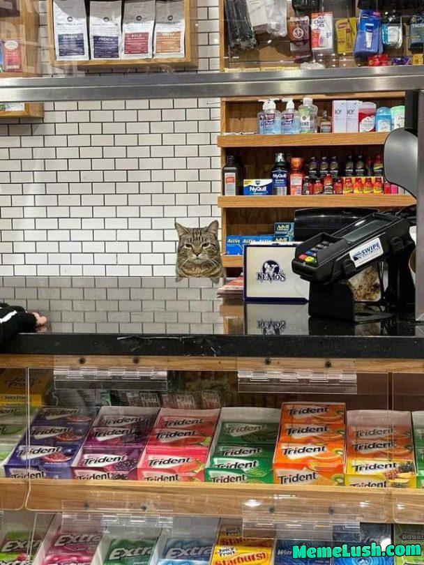 Been here 100 times and he still cards me.