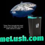 Give Terry a gift back by not littering