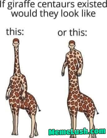 Which is it Which is it