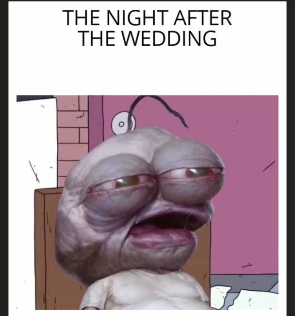 Memes return