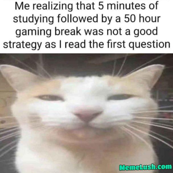 Atleast the RNGod never fails to dissapoint me