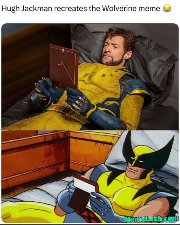 What you looking at BUB What you looking at BUB