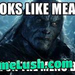 When the transgender lesbian realises they’re straight