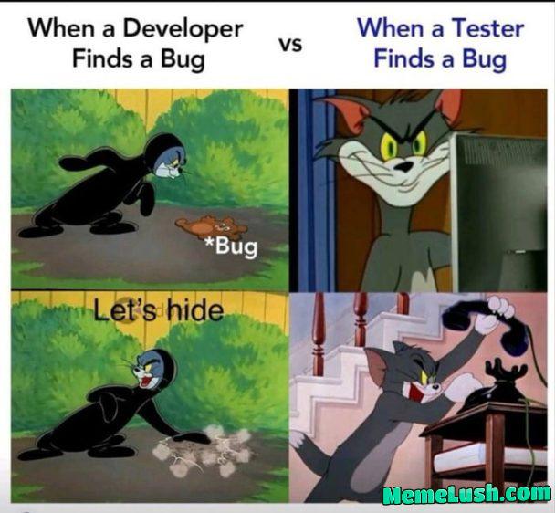 DeveloperVsTesterResponseToABug
