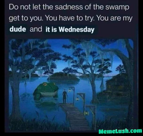 Listen to the frog Listen to the frog