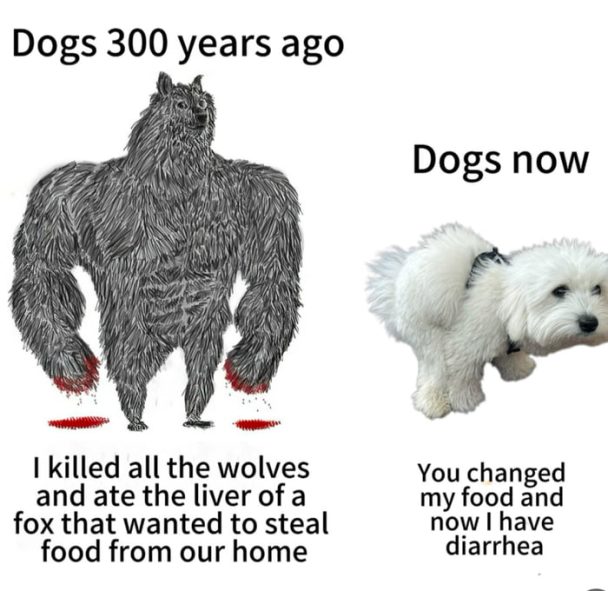 Wouldn’t last a single in the wild