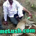 Man kills leopard with bare hands to protect wife and daughter.