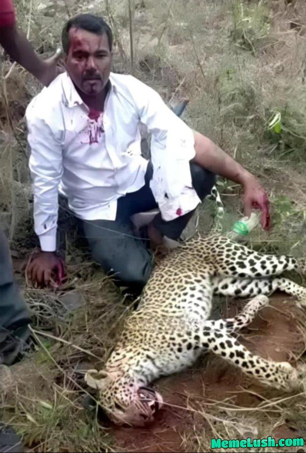 Man kills leopard with bare hands to protect wife and daughter. Man kills leopard with bare hands to protect wife and daughter.