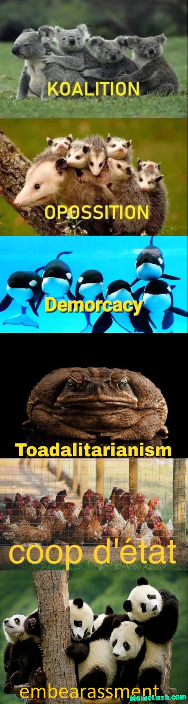 There are no frescos of pandas There are no frescos of pandas