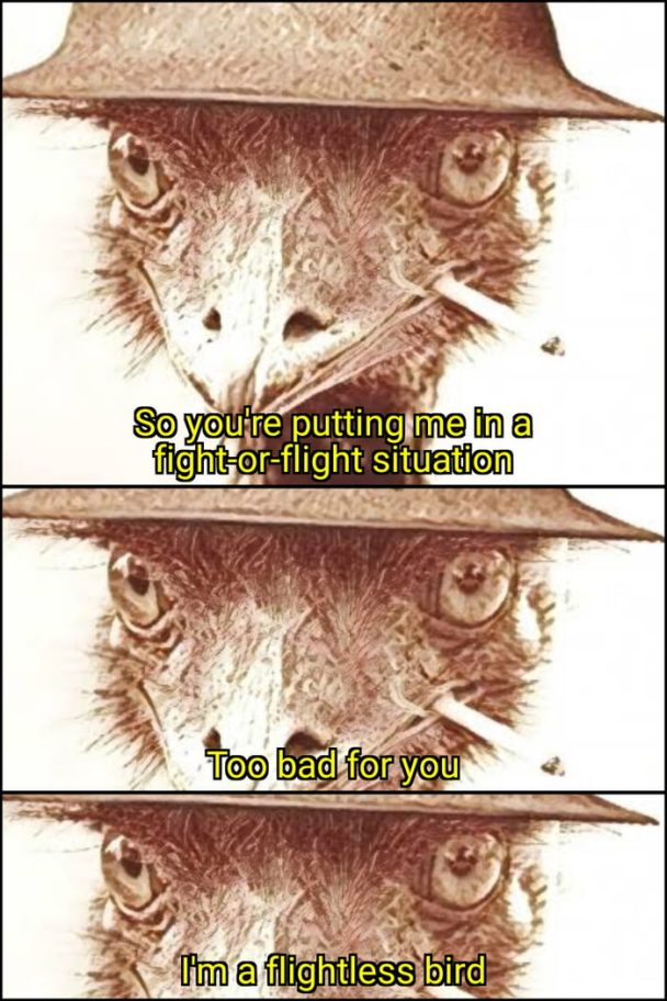 Emu war, 1932 Emu war, 1932