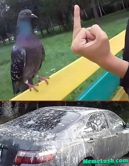 Actions Have Consequences Actions Have Consequences