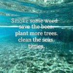 Forget about live laugh love