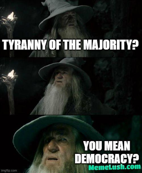 “Tyranny of the majority” “Tyranny of the majority”