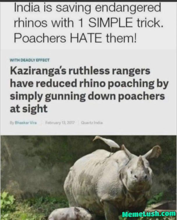 Best trick