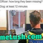 That’s at least 2 weeks in dog time