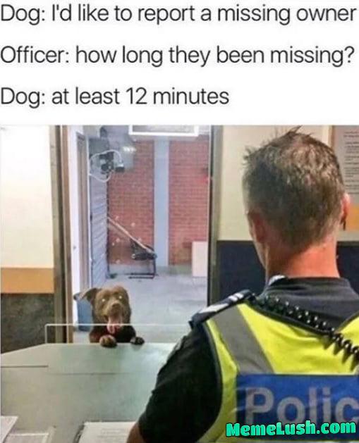 That’s at least 2 weeks in dog time