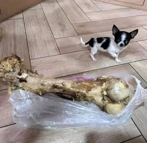 The look on his face is priceless! The look on his face is priceless!