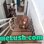 Oh god oh shit oh f**k!!!