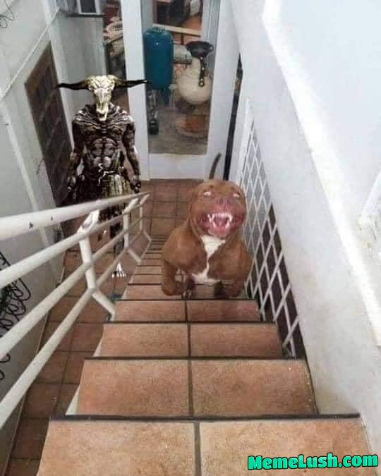 Oh god oh shit oh f**k!!! Oh god oh shit oh f**k!!!