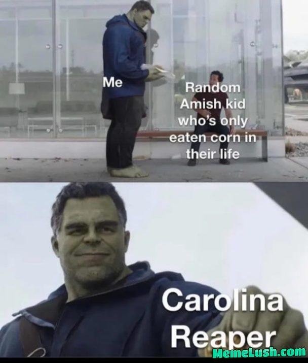 Proceeds to spontaneously combust