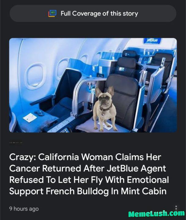 California Woman Claims Her Cancer Returned After JetBlue Agent Refused To Let Her Fly With Emotional Support French Bulldog In Cabin California Woman Claims Her Cancer Returned After JetBlue Agent Refused To Let Her Fly With Emotional Support French Bulldog In Cabin