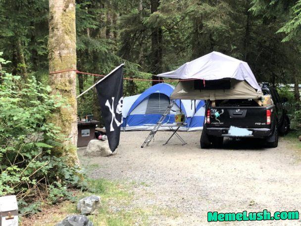 Drilled into a tree to fly their flag in a provincial park