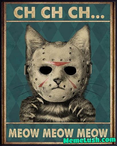 Feline the 13th Feline the 13th