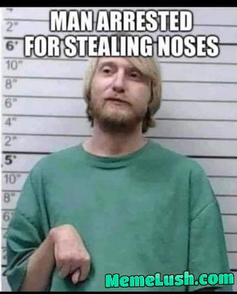 Nose goes Nose goes