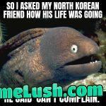 Bad joke eel