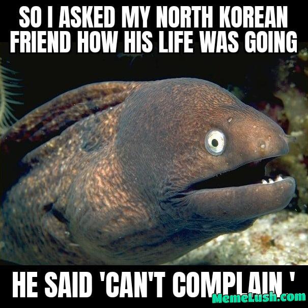 Bad joke eel