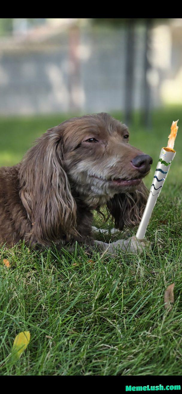 Different angle of Snoop with the Olympic torch.