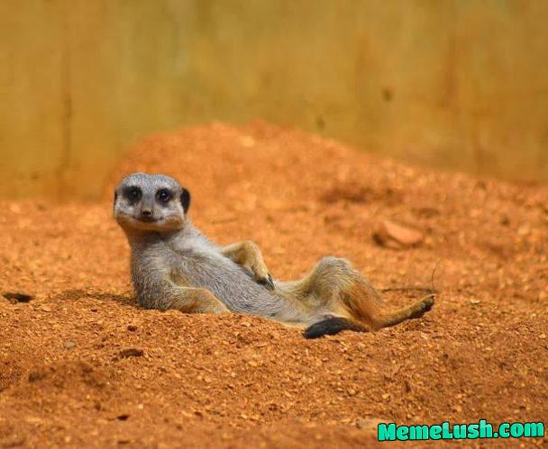 Chill but still waiting for you
