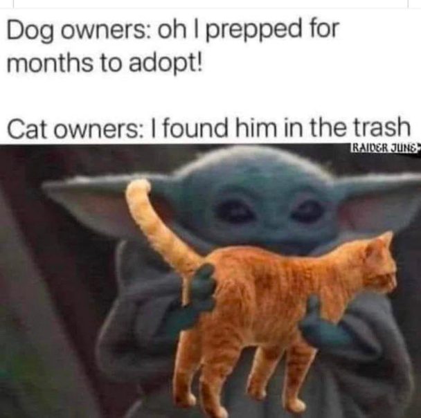 Well you see…this is a canon event