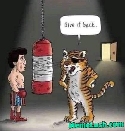 It’s the thrill of the fight.