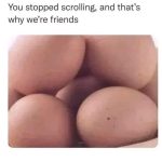 Keep scrolling!!