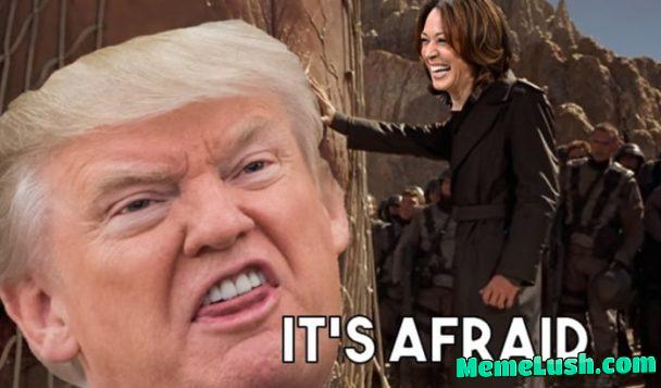 It’s afraid! It’s afraid!