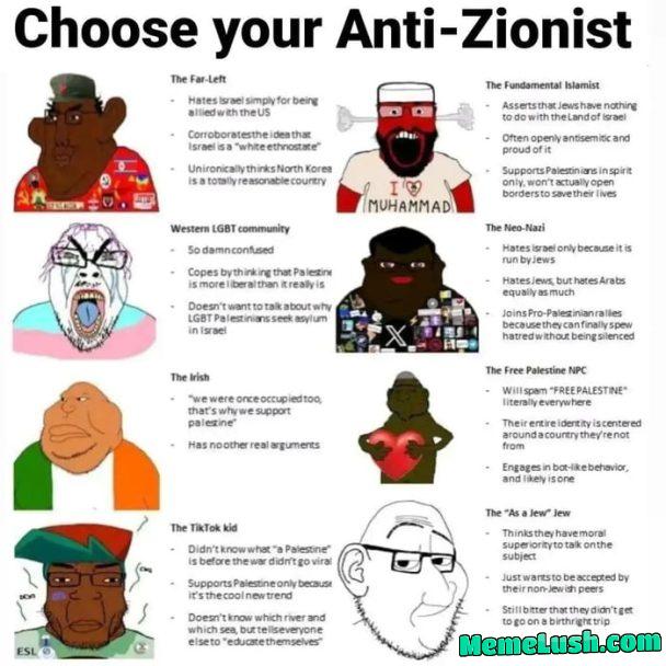 If you hate the Zionist, choose it wisely. NOTE: This is NOT an anti-Israel post