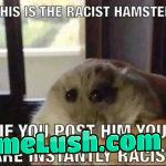 I beg you, don’t repost this.