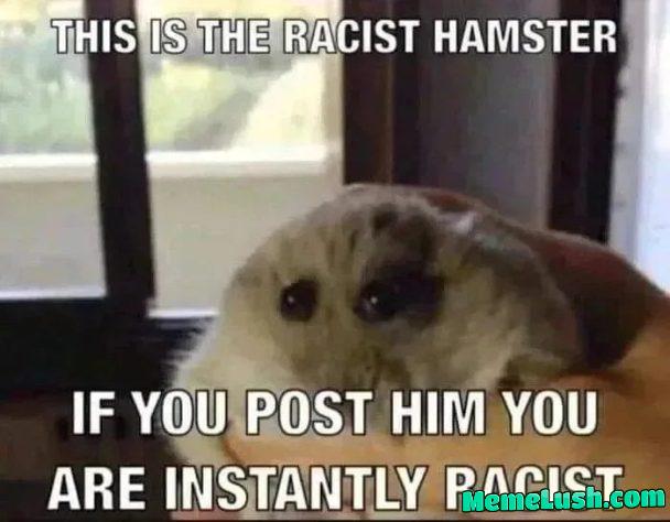 I beg you, don’t repost this.