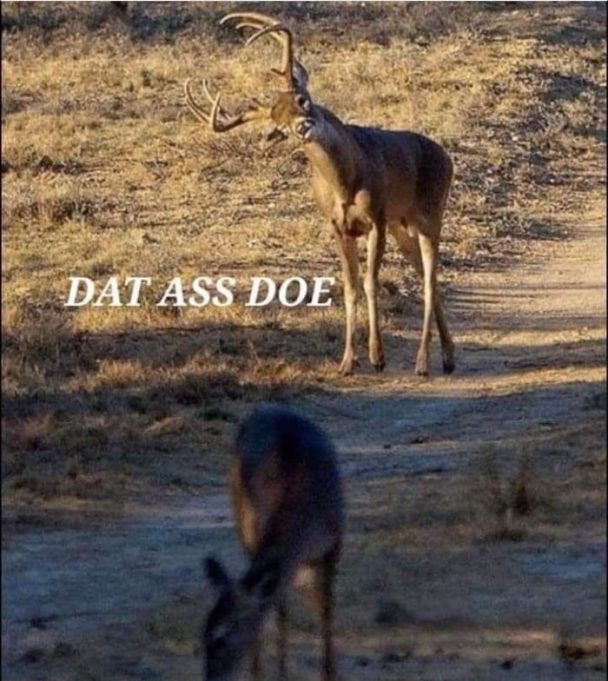 You know that Doe wants a couple of bucks You know that Doe wants a couple of bucks