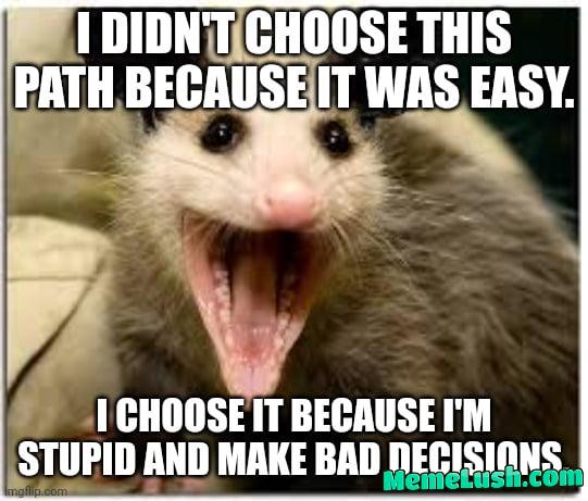 Life is hard and i forgot the safe word Life is hard and i forgot the safe word