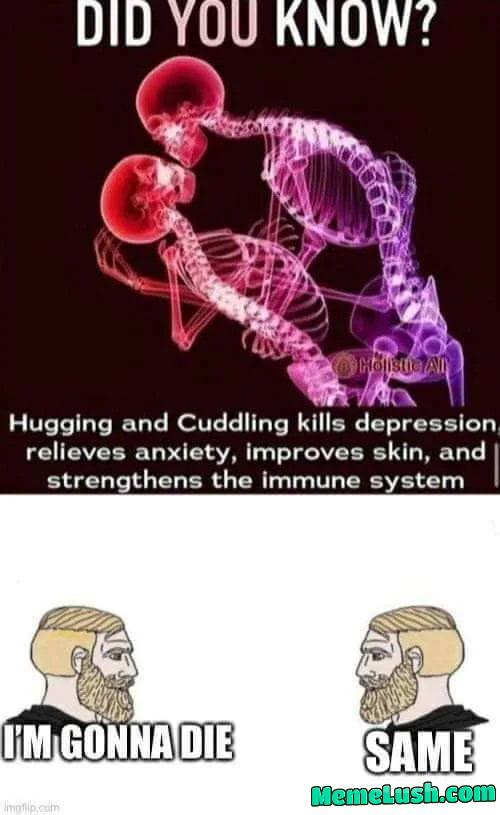 Short of witty just like we and our lives