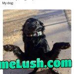 He’s trying his best ok