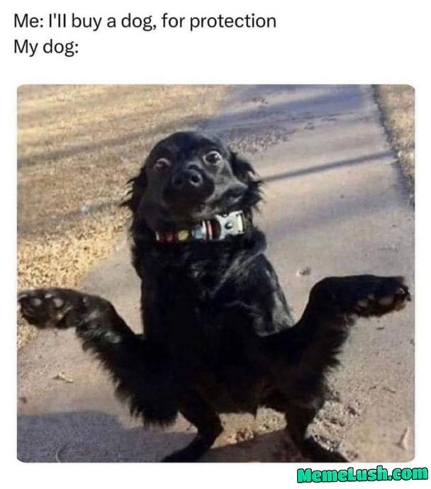He’s trying his best ok He’s trying his best ok