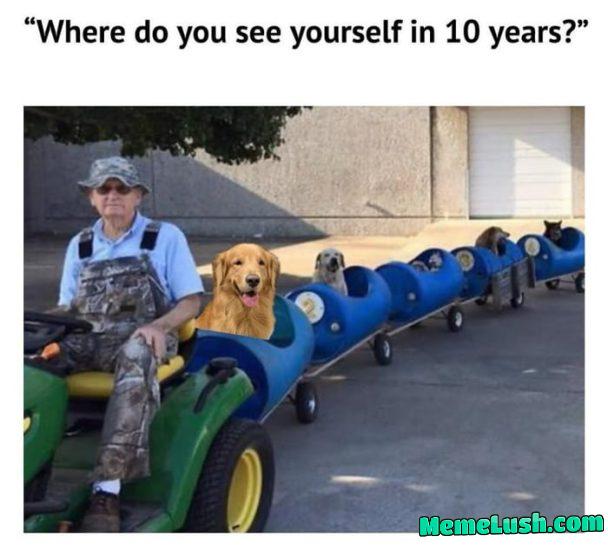 Next stop, Good boi Ville Next stop, Good boi Ville