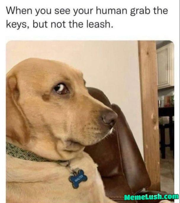 I could never leave a cutie like that behind